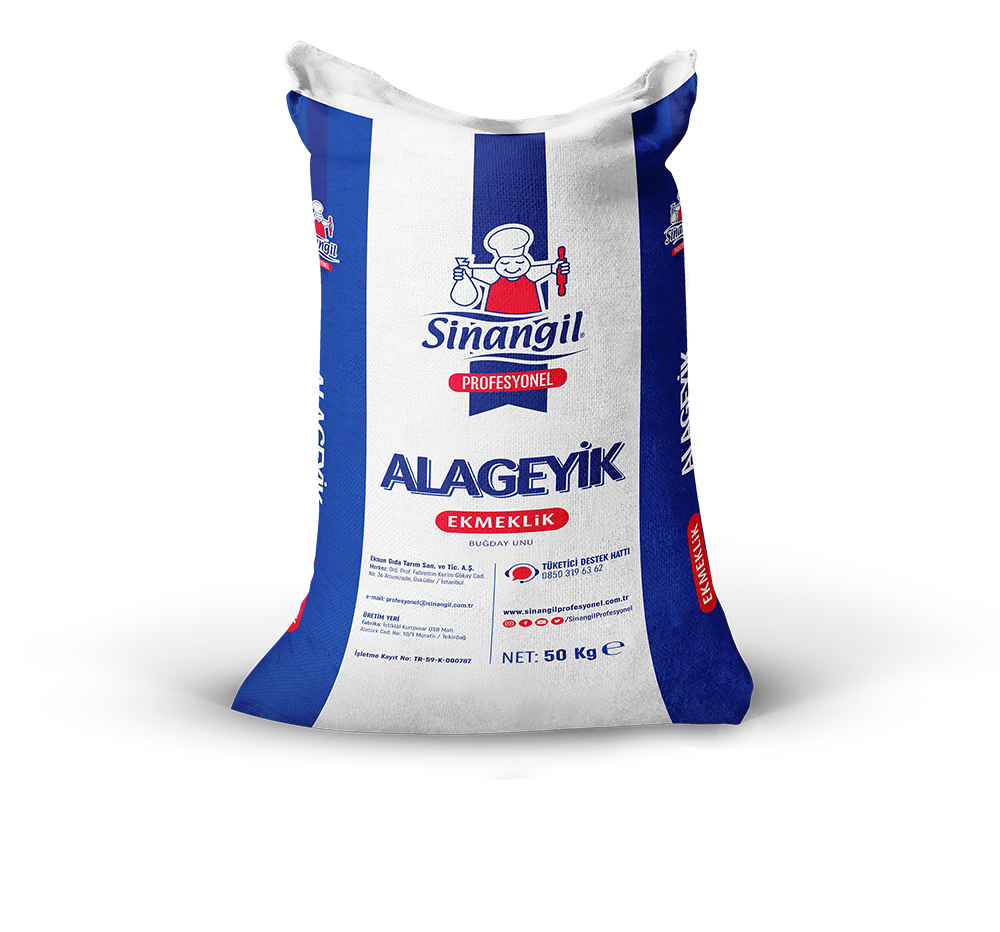 SİNANGİL ALAGEYİK
